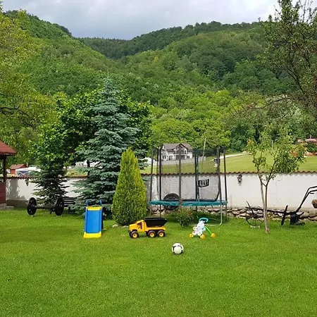 Farm stay Pensiunea Miraj Polovragi